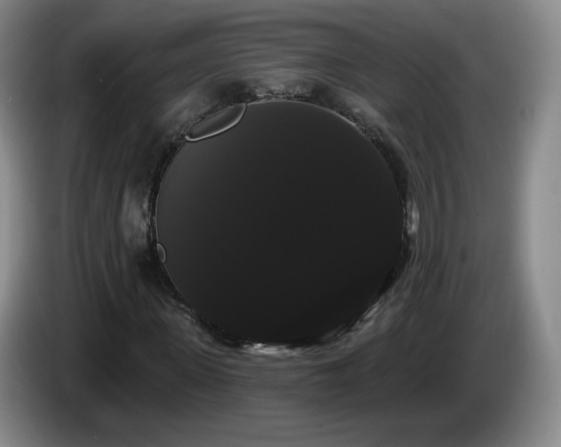X0000085220915200703091156