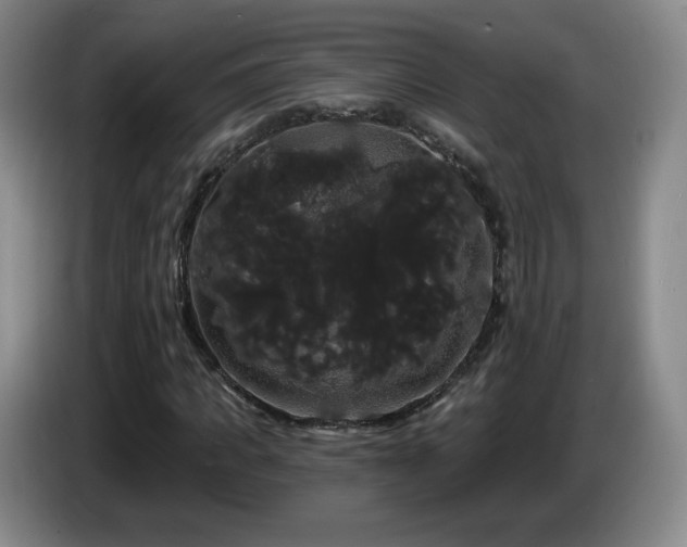 X0000085220917200703091156