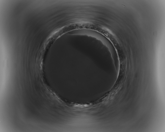 X0000085220919200703091156