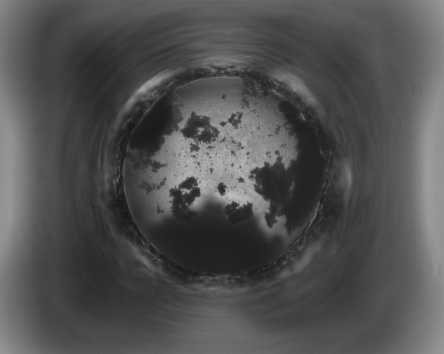 X0000085220920200703091156