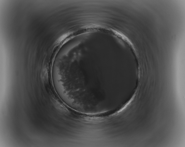 X0000085220921200703091156