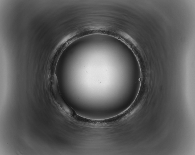X0000085220922200703091156