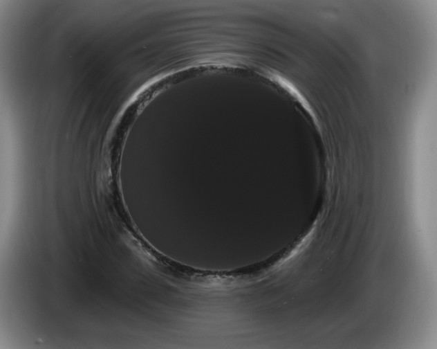 X0000085220923200703091156