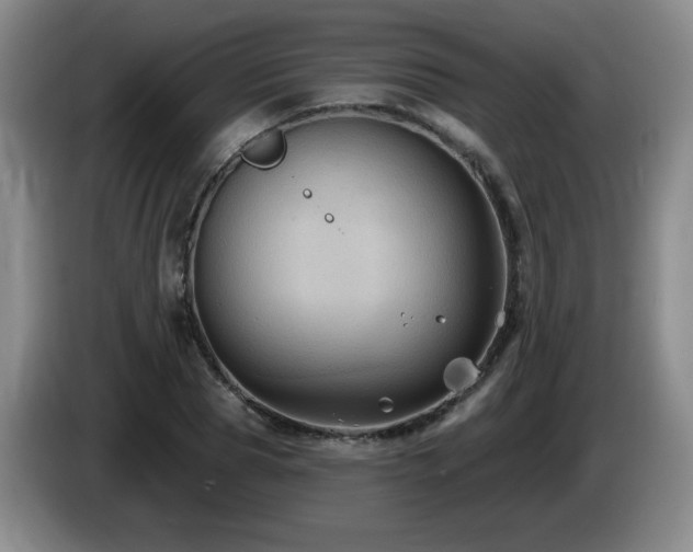 X0000085220929200703091156
