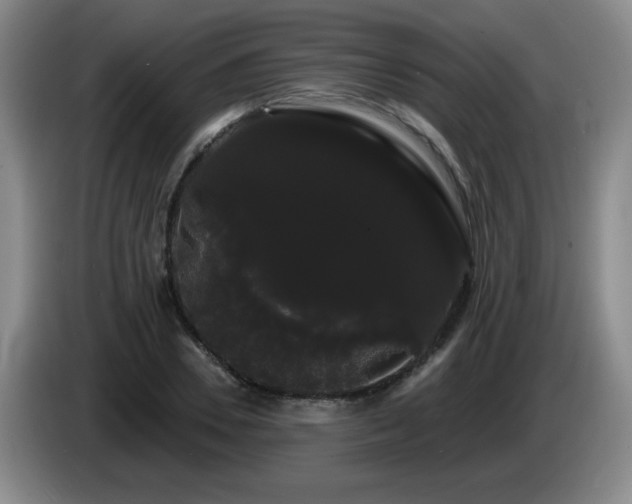 X0000085220930200703091156