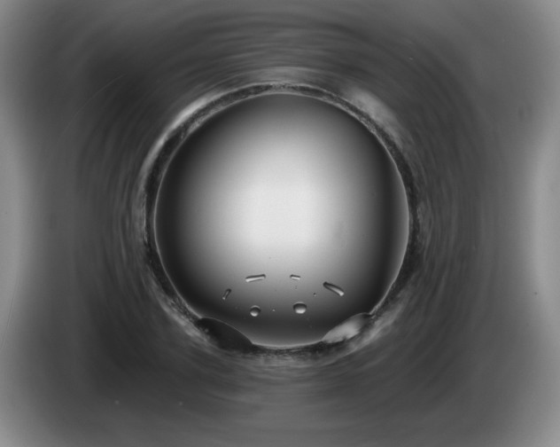 X0000085220931200703091156
