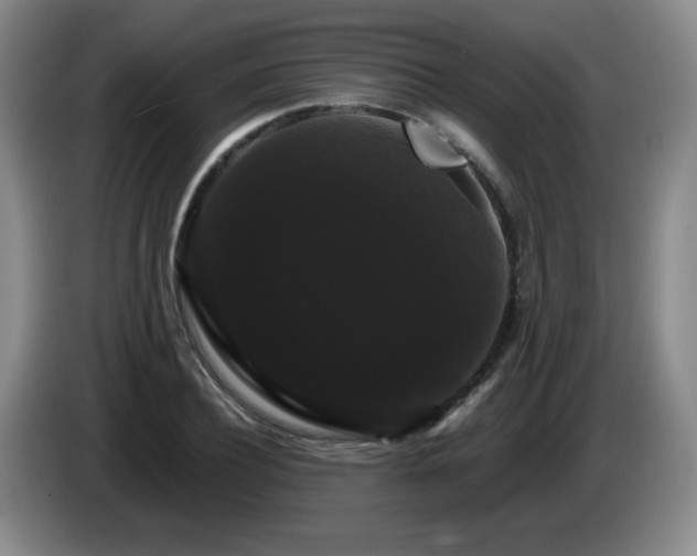 X0000085220932200703091156