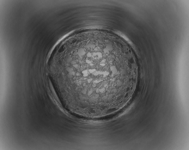 X0000085220933200703091156