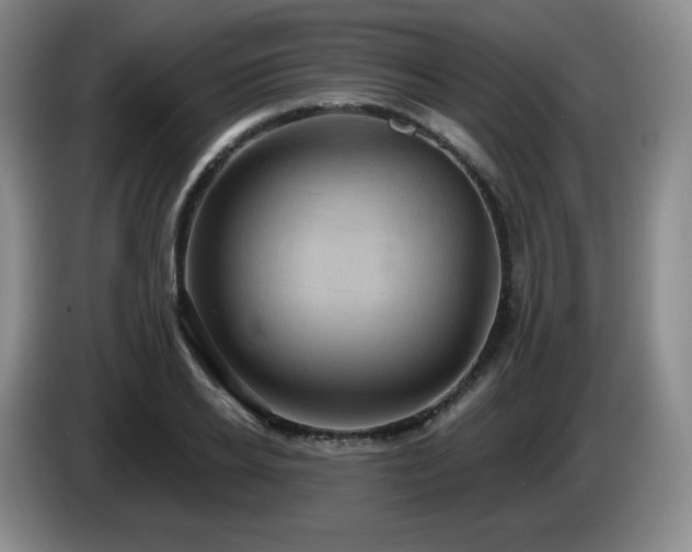 X0000085220934200703091156