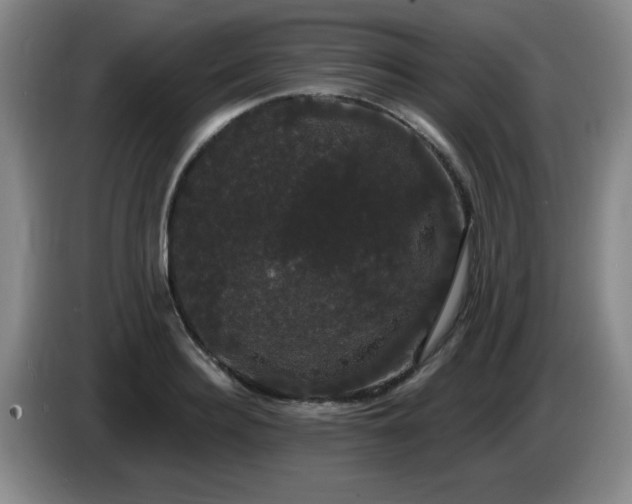 X0000085220940200703091157