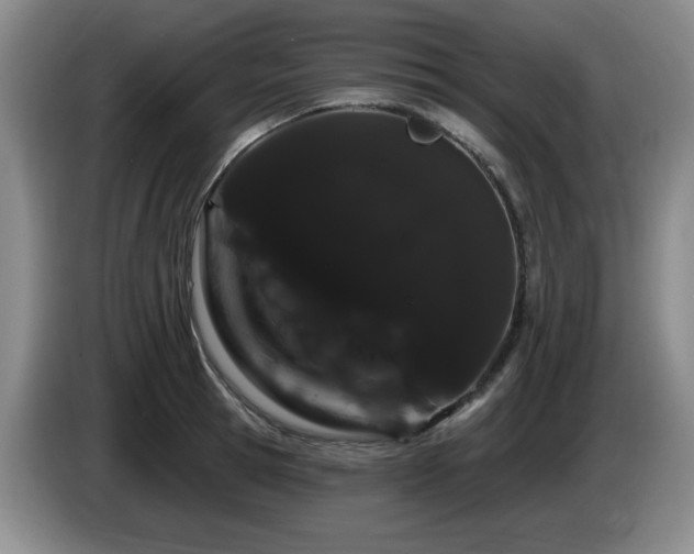 X0000085220945200703091157