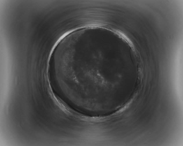 X0000085220948200703091157