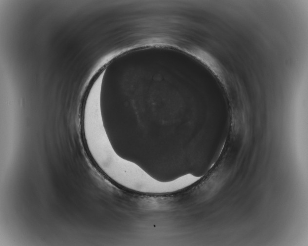 X0000085220950200703091157