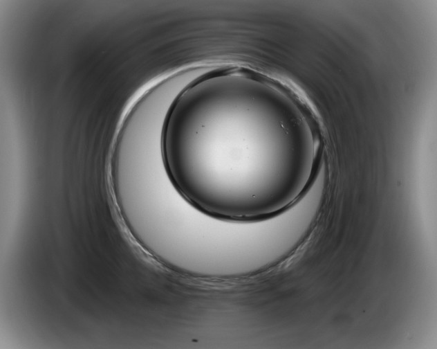 X0000085220952200703091157