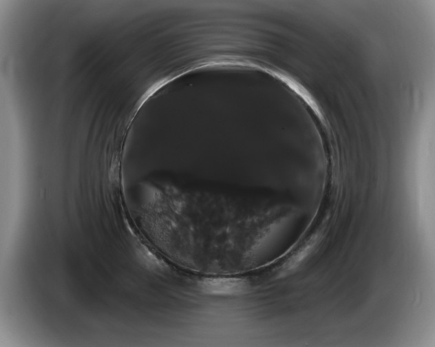 X0000085220953200703091157