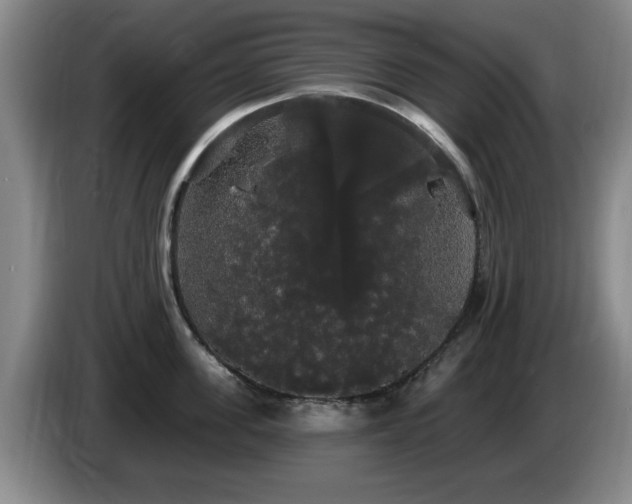 X0000085220955200703091157