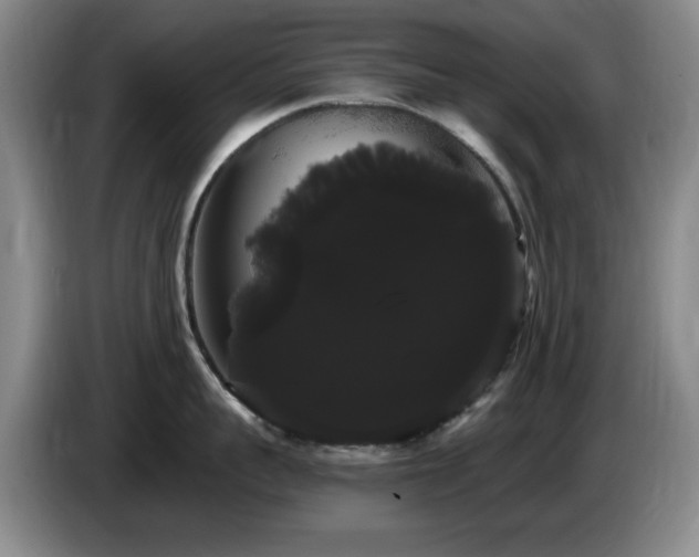 X0000085220959200703091157