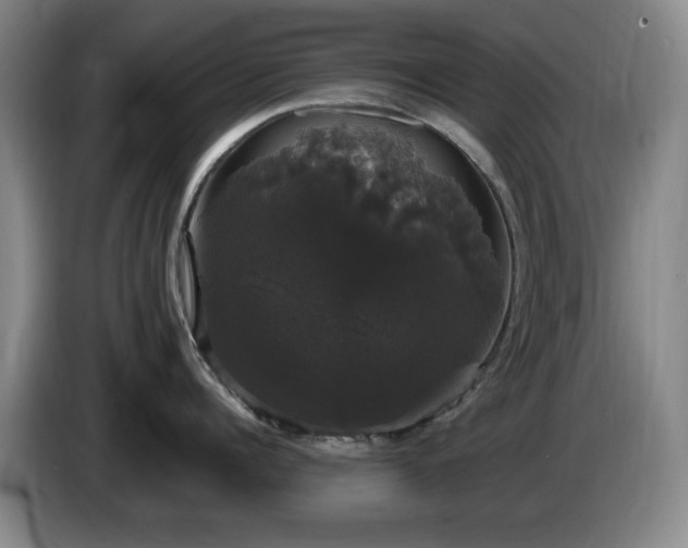 X0000085220960200703091157