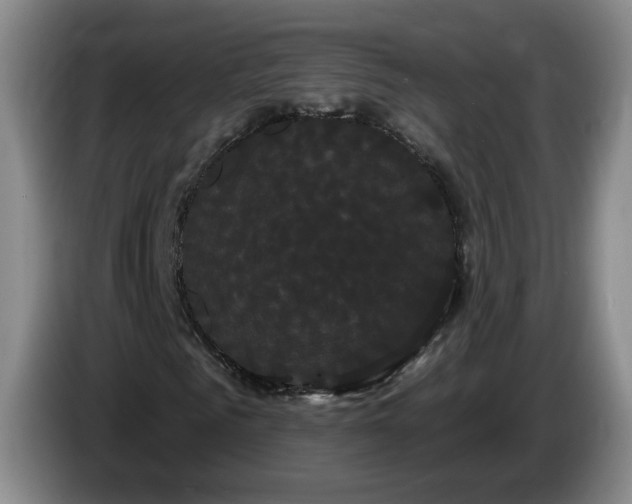 X0000085220961200703091156