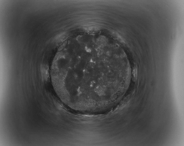X0000085220963200703091156
