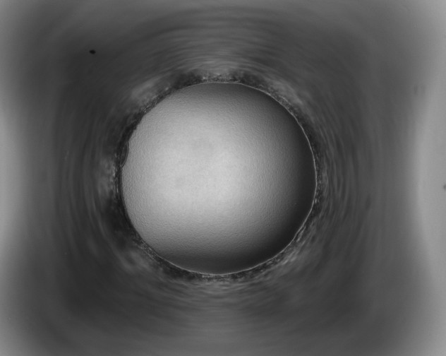 X0000085220964200703091156
