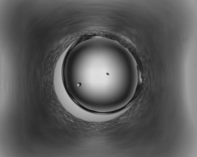 X0000085220965200703091156