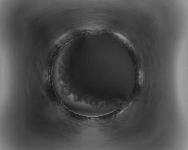 X0000085220966200703091156