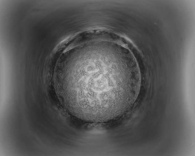X0000085220967200703091156
