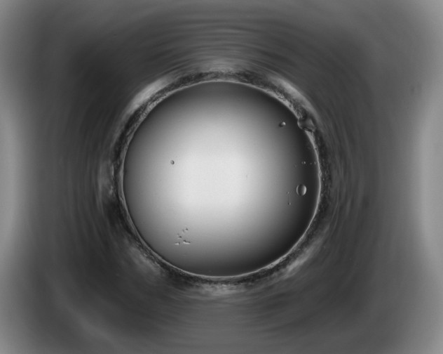 X0000085220970200703091156