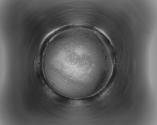 X0000085220971200703091156
