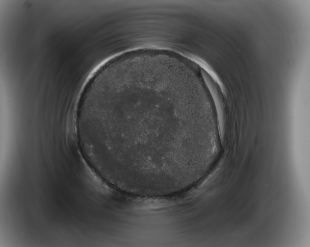 X0000085220972200703091156