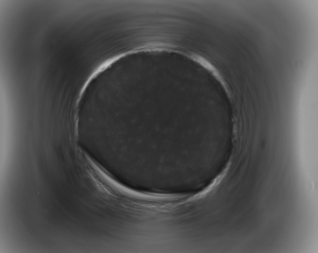 X0000085220973200703091156