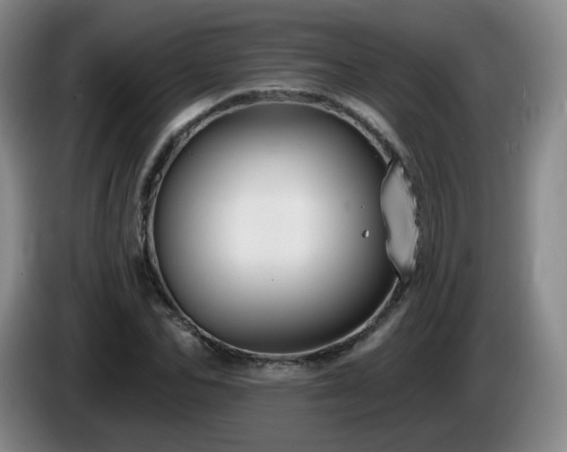 X0000085220974200703091156