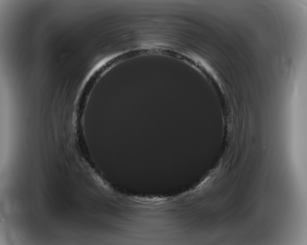 X0000085220975200703091156