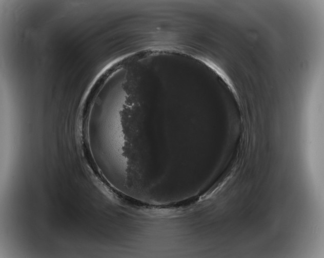 X0000085220976200703091156