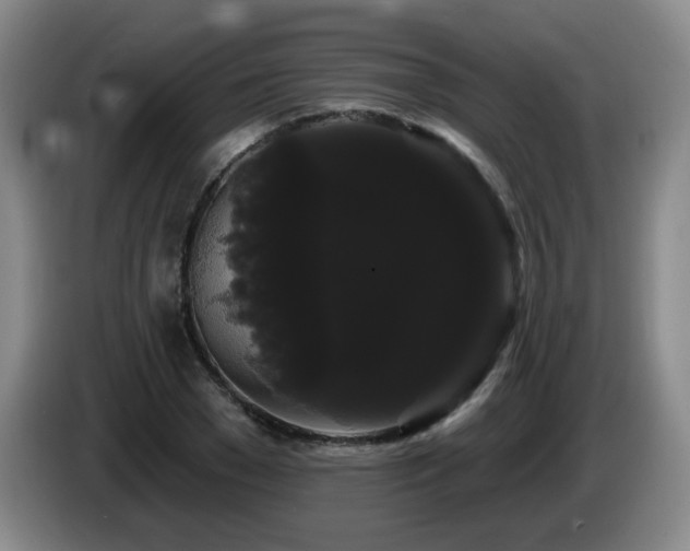X0000085220977200703091156
