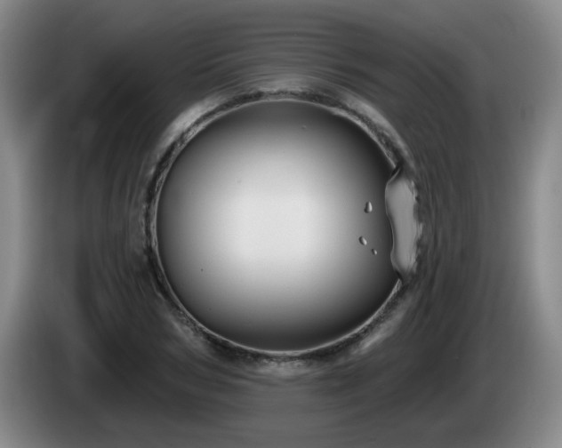 X0000085220978200703091156