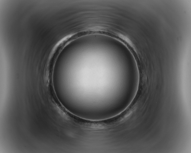X0000085220979200703091156