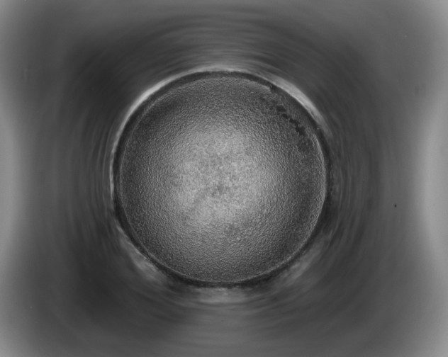 X0000085220980200703091156
