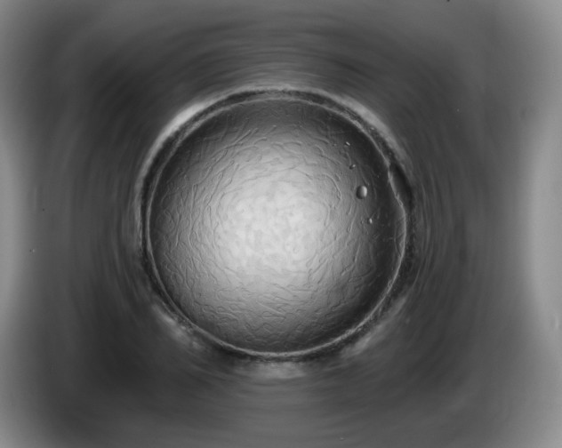 X0000085220982200703091156