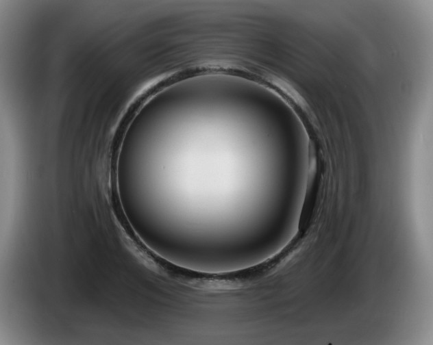 X0000085220984200703091156