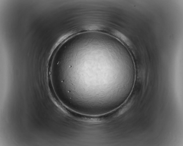 X0000085220986200703091156