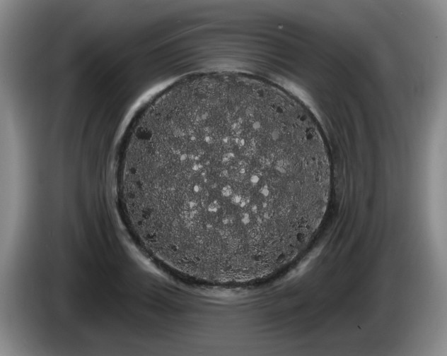X0000085220987200703091156