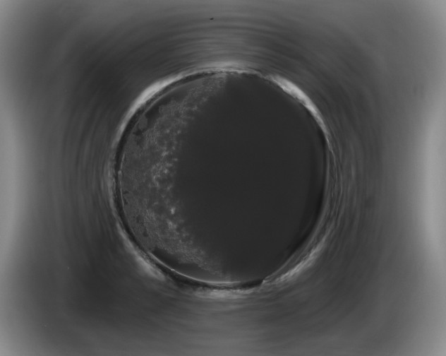 X0000085220989200703091156