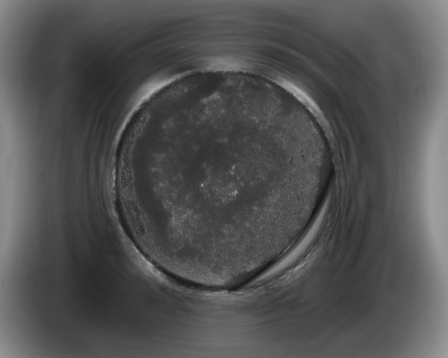 X0000085220992200703091156