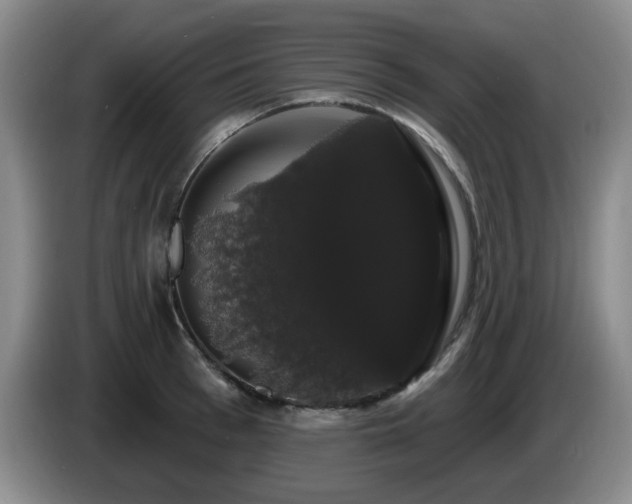X0000085220993200703091156