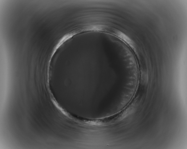 X0000085220994200703091156