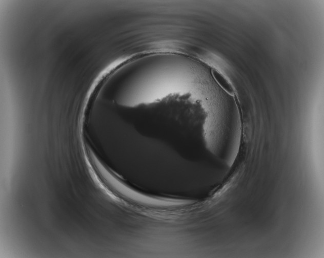 X0000085220995200703091156