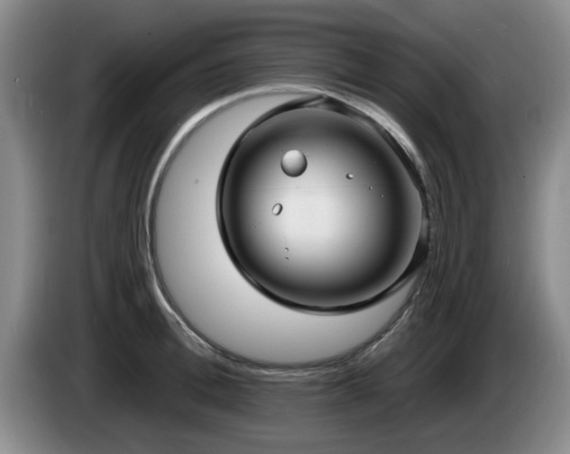 X0000085220996200703091156