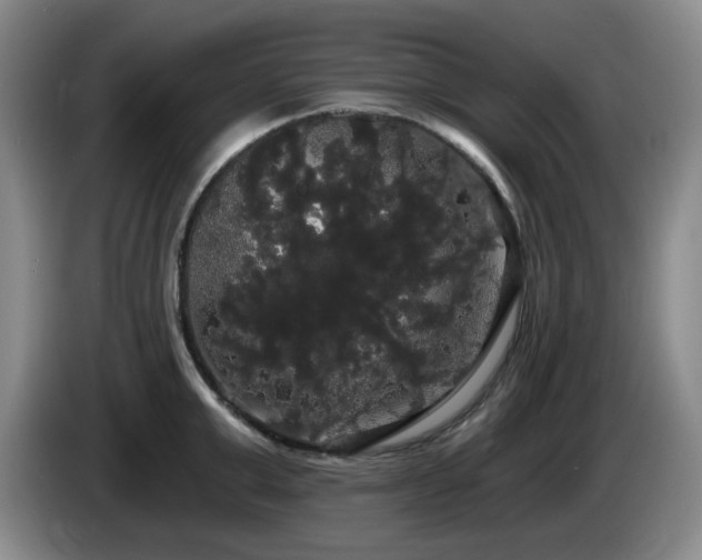 X0000085220999200703091156